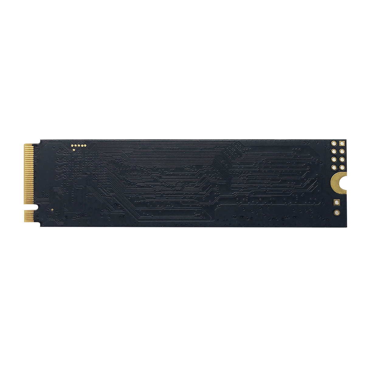 P310_B