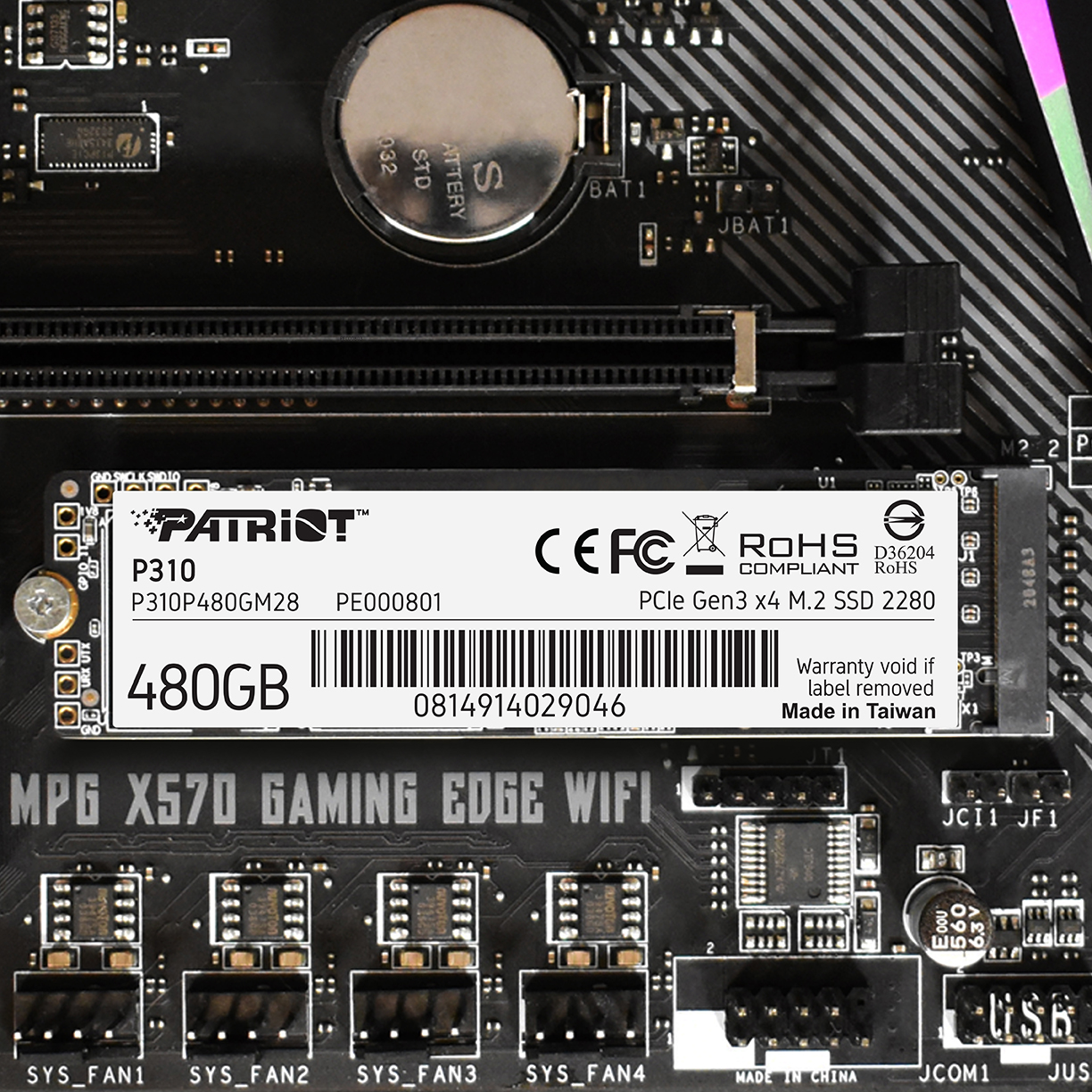 P310_F